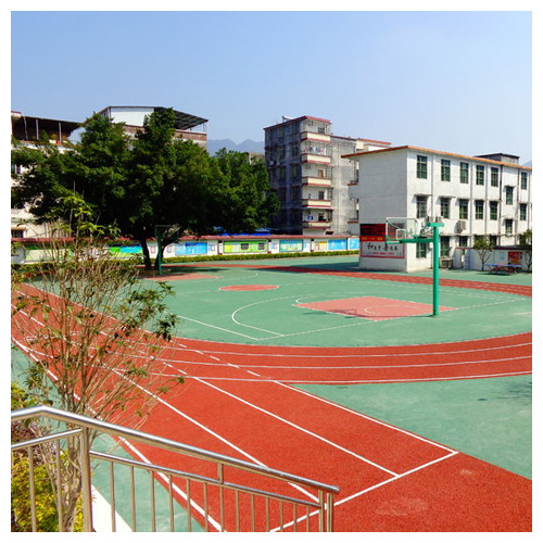 南开雷公坑小学复合型塑胶跑道